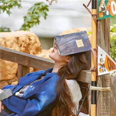 女侦探与辣手摧花：巴黎连环杀人案